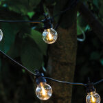 Varm hvid lyskæde med klare pære. Leje.